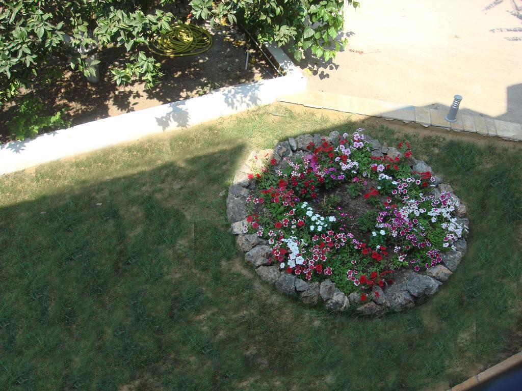 Aspa'S Apartments Dassia  Dış mekan fotoğraf